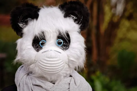 Oppa88888888 Kasino Sokongan